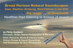 Business card for Philip Goddard's natural soundscape downloads